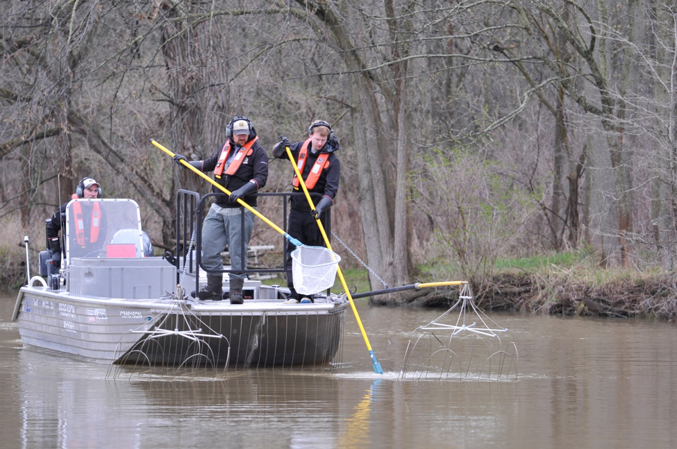 Boat crews from DFO and MNRF participating in operation response activities (boat electrofishing) during a 2017 Asian carp response training exercise