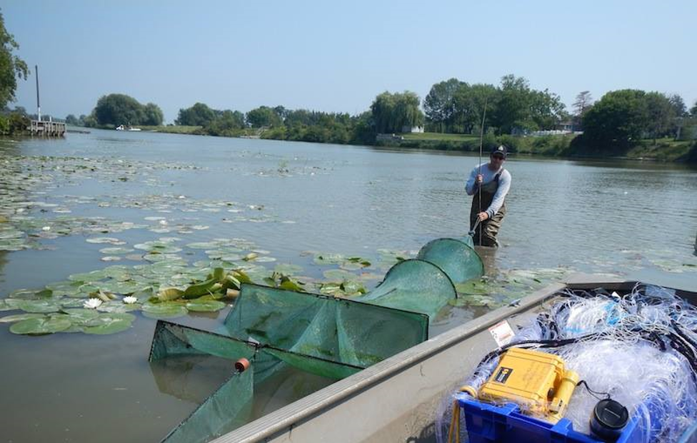 man fishing