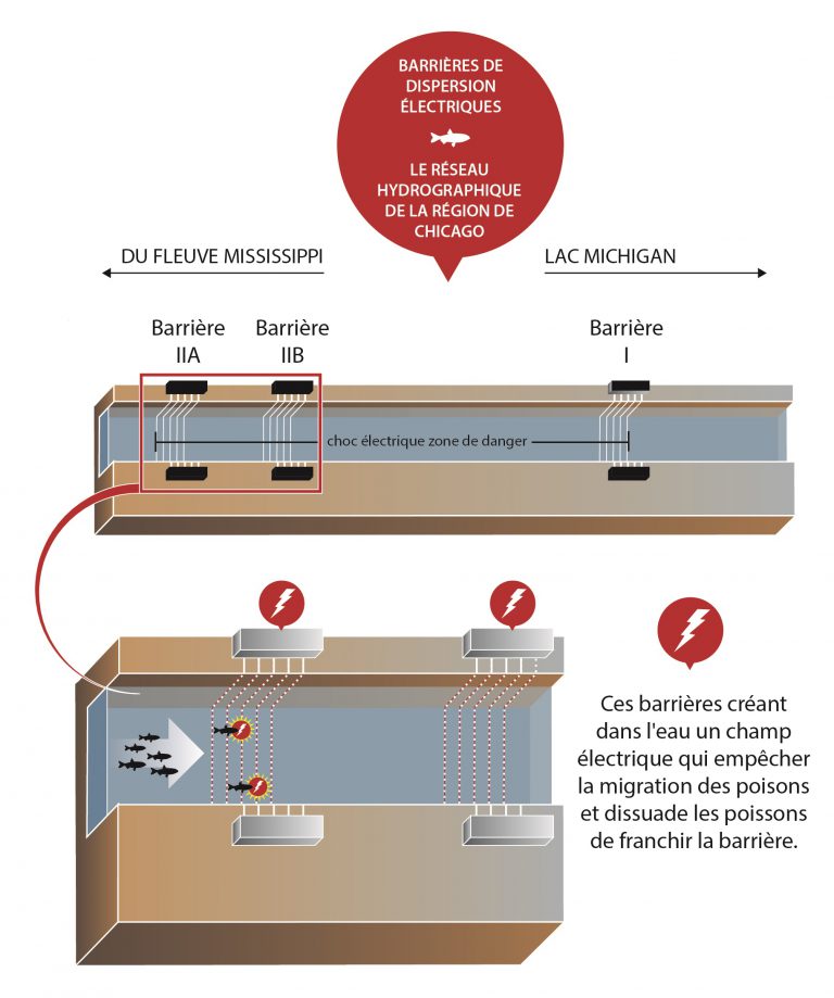 Barrières de dispersion électriques dans le réseau hydrographique de la région de Chicago