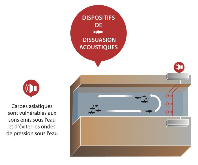 Dispositifs de dissuasion acoustiques